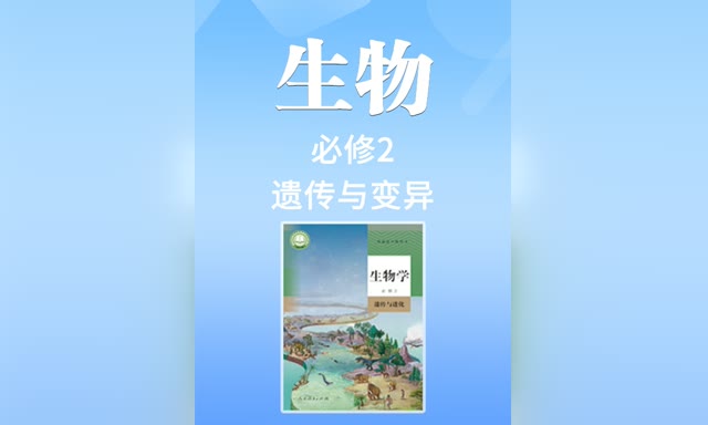 �˽̰����������޶����Ŵ������